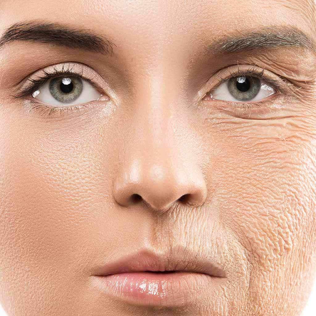 Collagen & Collagen Peptides: What's The Difference?